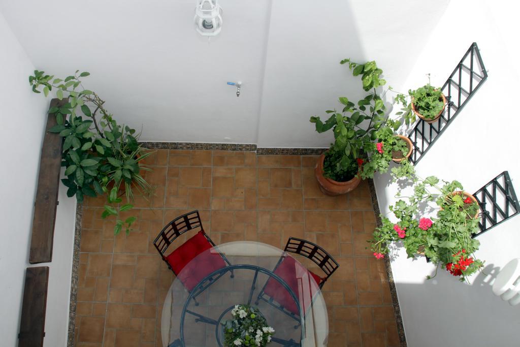 Apartamentos San Fernando 76 กอร์โดบา ภายนอก รูปภาพ